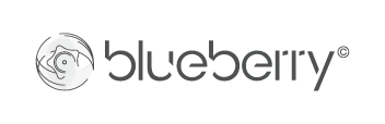 Blueberry DE